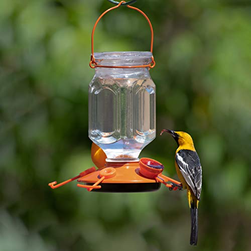 Perky-Pet 9113-2 Top-Fill Glass Oriole Feeder – 22 Oz, Orange