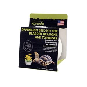 Komodo Grow Your Own Dandelion Kit | Grows Year Round | Tasty Snacks for Bearded Dragons and Tortoises| Everything Needed to Grow Fresh Dandalions