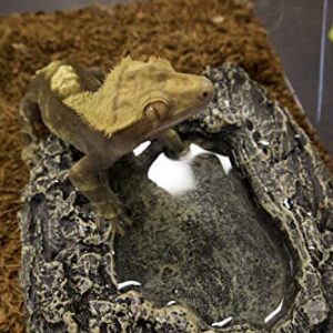 Komodo Habitat Rock Bowl Small |Natural Looking Decorative Fod & Water Dish | Ideal for Short Legged Species |