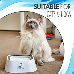 All Fur You Dog Water Bowl Splash Proof Anti Spill Slow Feeder Dish Cat Water Bowl No Slip Dispenser 35oz (1L) Drinking for Dogs Cats In Car Crate Safe Portable Pet Bowl Travel Dog Bowls Small Non Tip