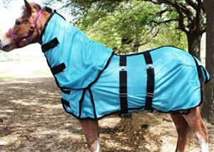 challenger 44" miniature weanling donkey pony horse foal summer sheet 51811b