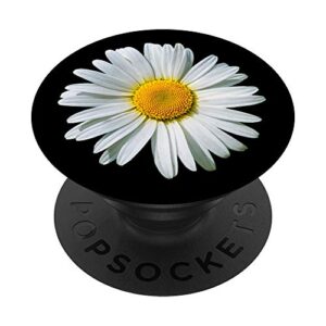 white gerbera daisy flower black background popsockets swappable popgrip