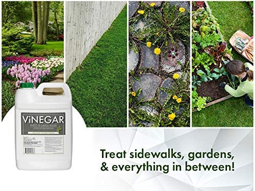 Energen Carolina LLC 578 Vinegar Weed & Grass Killer Approved for Organic Production Pet Safe Glyphosate Free Herbicide, Gallon 1, Yellow