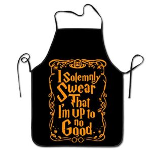 sara nell cooking kitchen chef apron funny bib aprons for women men - i am up to no good i solemnly swear that