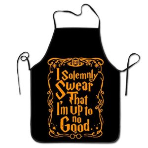 SARA NELL Cooking Kitchen Chef Apron Funny Bib Aprons for Women Men - I am Up to No Good I Solemnly Swear That