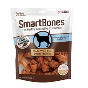 smartbones with peanut butter mini chews 30 count, rawhide-free chews for dogs, no artificial preservatives or flavors added, 16.9 oz (sbpb-00310)
