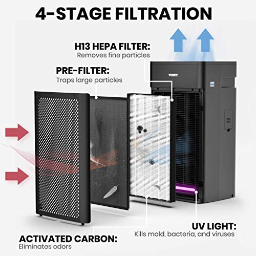 TOSOT Air Purifier with H13 Medical Grade True HEPA Filter, UV Light Sanitizer, Remove up to 99.97% Dust Smoke Mold Pollen, Ideal for Large Room up to 450 sq. ft, Home, Business, Office, School