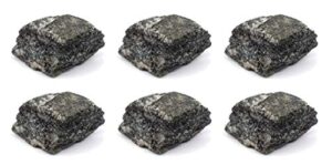 6pk raw biotite gneiss, metamorphic rock specimens - approx. 1" - geologist selected & hand processed - great for science classrooms - class pack - eisco labs