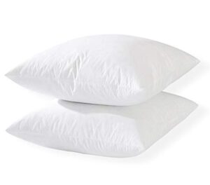 whitewrap 20"x20" set of 2 throw pillow insert decorative polyester filling premium hypoallergenic sham stuffer square couch - white