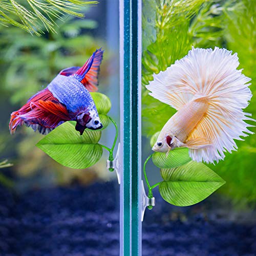 4 Pieces Betta Bed Leaf Hammock for Betta Fish, Lightweight and Realistic Resting Spot, No BPA, Practical, Comfortable and Safe (Double Leaf)