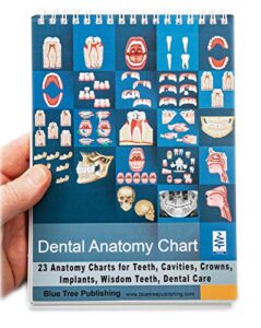 dental charts (flip chart, stand up)