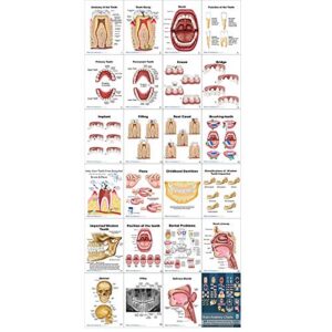 Dental Charts (Flip Chart, Stand up)