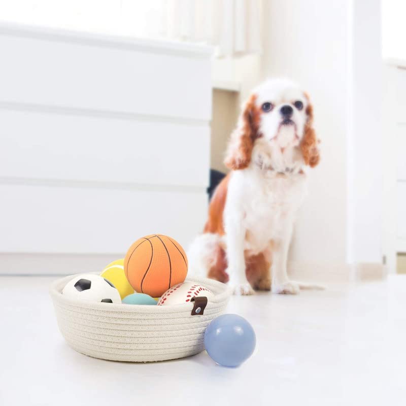 Goodpick 3pack Small Basket - Woven Storage Basket on Shelf Key Basket on Table Top Cute Basket for Pets Toy Storage Home Storage Baskets for Shelves Gift Baskets, White