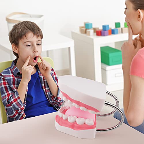 Ultrassist Mouth Model Metal Hinge for Speech Therapy, Ideal Brushing Teaching Dental Teeth Model for Kids and Children, 6 Times Enlarge, Includes Toothbrush