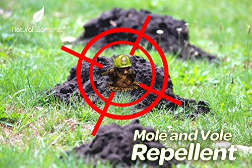 Natural Elements Mole and Vole Repellent | 100% Castor Oil | Pet Safe and Non Toxic | Food Grade | 128 oz (1 Gallon)