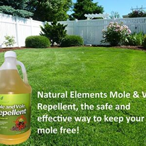 Natural Elements Mole and Vole Repellent | 100% Castor Oil | Pet Safe and Non Toxic | Food Grade | 128 oz (1 Gallon)