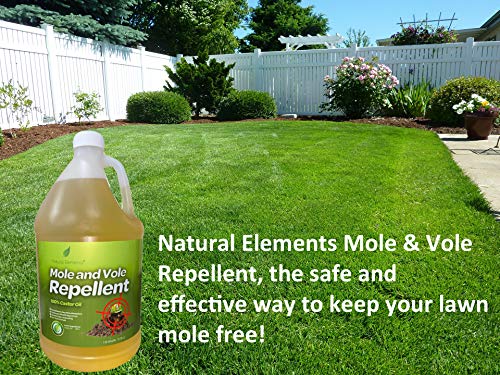 Natural Elements Mole and Vole Repellent | 100% Castor Oil | Pet Safe and Non Toxic | Food Grade | 128 oz (1 Gallon)