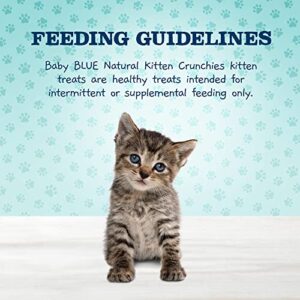 Blue Buffalo Baby BLUE Kitten Crunchies Grain Free, Natural Kitten Treats, Savory Salmon 2-oz Bag