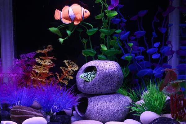 Aquazoo Aquarium Decoration Rock Caves, Hideaway for Shrimp Cichlid Hiding Breeding Spawning, Professional Hideout Decor for Territorial Fish (2 Pieces Set)