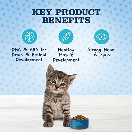 Blue Buffalo Baby BLUE Healthy Growth Formula Grain Free High Protein, Natural Kitten Dry Cat Food, Chicken 4.5-lb