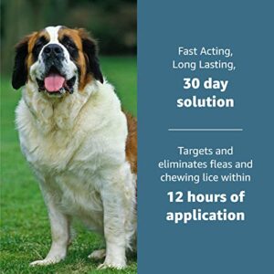 Amazon Basics Flea, Tick & Mosquito Topical Treatment for X-Large Dogs (over 55 pounds), 6 Count (Previously Solimo)