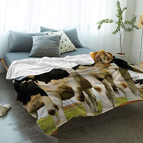 Greeeen Plush Fleece Throw Blanket | Fuzzy, Soft, Warm, Cozy, Reversible Blanket for Bed Couch Sofa Chair Travel- 39" x 49" Pasture Cow Rural Landscape