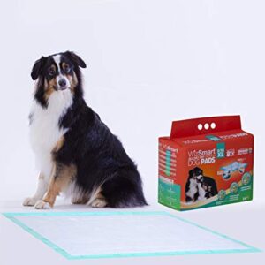 WizSmart Heavyweight Ultra Extra Large 10+ Cup Earth-Friendly & All-Day Dry Premium Dog and Puppy Potty Training Pads, Quick Drying, Absorbent, Odor-Free, Stay Put Tabs, 10+ Cup XL (24 Count)