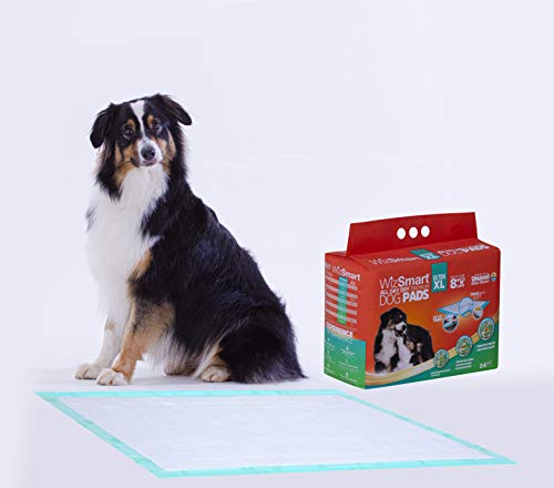 WizSmart Heavyweight Ultra Extra Large 10+ Cup Earth-Friendly & All-Day Dry Premium Dog and Puppy Potty Training Pads, Quick Drying, Absorbent, Odor-Free, Stay Put Tabs, 10+ Cup XL (24 Count)