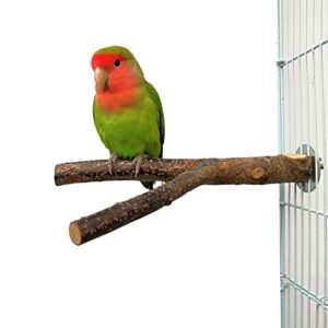 QUMY 2 Pack Parrot Bird Cage Perch Natural Wood Fork Stand Perch Wooden Platform for Parakeets Cockatiels Conures (2Pack)