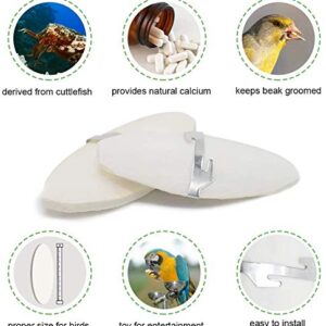 Jmxu's 5"-5.5" Bird Cuttlebone for Parakeets, Cuddle Bone with Metal Holder, Chewing Cuttlefish Bone for Sharp Beaks, Natural Birds Calcium Suitable for Parrots Cockatiels Budgie(6 Pack)