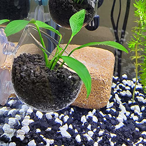 WEAVERBIRD Aquarium Plant Cup, Plant Pot Aquarium Decoration Aquatic Plant Cup with 2 Suction Cups for Fish Tank Plant, Glass