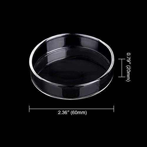 WEAVERBIRD 60mm Aquarium Shrimp Feeder Dish Glass Fish Tank Feeding Bowls Round Clear Dishes Tray