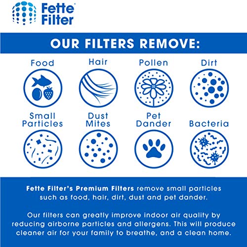 Fette Filter - Air Purifier Activated Carbon Filter Compatible with HoMedics TotalClean PetPlus. Compare to Part # AT-PET01, AT-PET02, AT-PETODR. Pack of 4