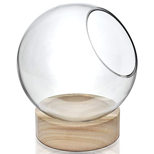 CYS EXCEL Glass Terrarium Candle Holder Bubble Bowl with Wood Base (H:8" W:6.5") | Unique Fish Bowl Aquarium with Wooden Stand | Plant Bubble Dome | Candy Bowl Storage Container