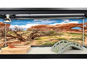 Reptile Habitat Background; Double Arch with Tree for 20L, 3-Sided Wraparound