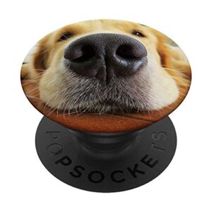 golden retriever dog gold nose popsockets popgrip: swappable grip for phones & tablets