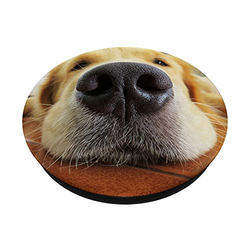 Golden Retriever Dog Gold Nose PopSockets PopGrip: Swappable Grip for Phones & Tablets