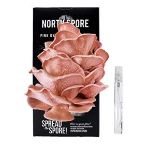 north spore organic pink oyster mushroom spray & grow kit (4 lbs) | usda certified organic, non-gmo, beginner friendly & easy to use | grow your mushrooms at home | handmade in maine, usa