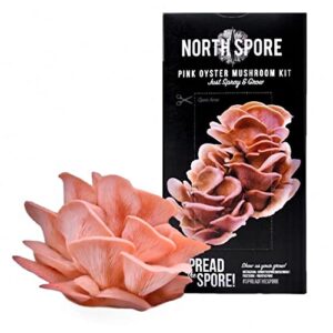 North Spore Organic Pink Oyster Mushroom Spray & Grow Kit (4 lbs) | USDA Certified Organic, Non-GMO, Beginner Friendly & Easy to Use | Grow Your Mushrooms at Home | Handmade in Maine, USA