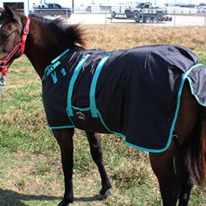 CHALLENGER 60" 1200D Miniature Weanling Donkey Pony Horse Foal Winter Blanket Teal 51945