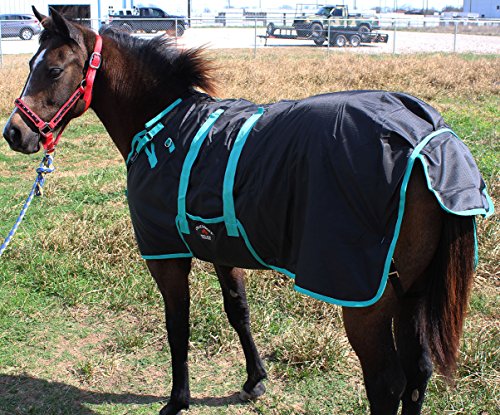 CHALLENGER 60" 1200D Miniature Weanling Donkey Pony Horse Foal Winter Blanket Teal 51945