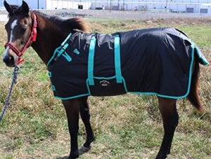 challenger 60" 1200d miniature weanling donkey pony horse foal winter blanket teal 51945
