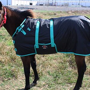 CHALLENGER 60" 1200D Miniature Weanling Donkey Pony Horse Foal Winter Blanket Teal 51945