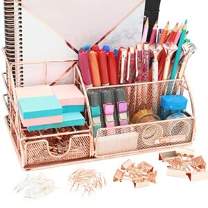 office almighty rose gold desk organizer for women: exclusive large 6 in 1 mesh metal supplies organizer with pen holders, folder holder & accessories drawer + bonus 171 clips set w/ a plastic box