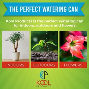 KP KOOL PRODUCTS (1 Pack) 1/2 Gallon Plant Watering can - Mini Watering can - Indoor Watering can - Watering can for Outdoor Plants - Flower Watering can - BPA Free (Blue)