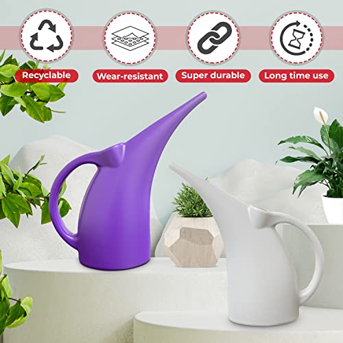 KP KOOL PRODUCTS (1 Pack) 1/2 Gallon Plant Watering can - Mini Watering can - Indoor Watering can - Watering can for Outdoor Plants - Flower Watering can - BPA Free (Blue)