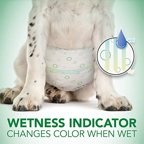 Vet’S Best Comfort Fit Disposable Male Dog Diapers | Absorbent Male Wraps with Leak Proof Fit | Small, 30Count