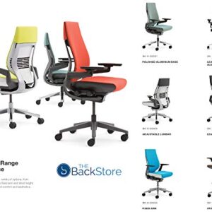 Steelcase Gesture Office Desk Chair with Headrest in Elmosoft Genuine Saddle L147 Leather Plus Lumbar Support High Platinum Metallic Frame with Seagull Seat/Back Merle Arms (Light/Light)