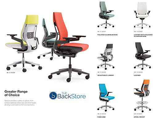 Steelcase Gesture Office Desk Chair with Headrest in Elmosoft Genuine Saddle L147 Leather Plus Lumbar Support High Platinum Metallic Frame with Seagull Seat/Back Merle Arms (Light/Light)