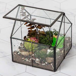 ferrisland glass plant terrarium container wardian case indoor small succulent terrarium planter w/door for tabletop decor diy gift - 5.0"x4.3"x4.3"